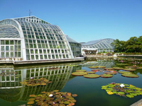 周辺環境:京都府立植物園