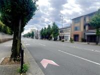 その他:烏丸通りに面していて、東側幅員約22ｍ